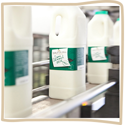 Dairy Products - Milk Supplier